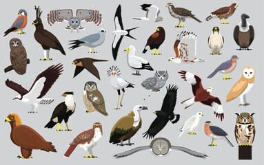 Animal Bird of Prey Eagle Hawk Kite Falcon Owl Vulture Characters Cartoon Vector - obrazy, fototapety, plakaty