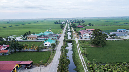Aerial view of village within the green fields with paddy during planting season.