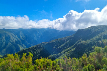 Fototapeta premium Beautiful green mountain slopes on a sunny day. Hiking. Hiking in the mountains.