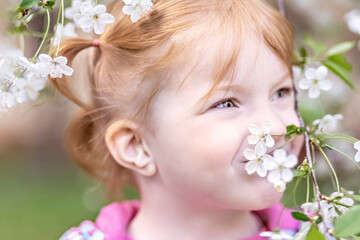 Close-up portrait of a toddler girl with red hair in front of a cherry blossom. Spring