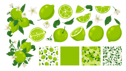 Cartoon limes. Sour lime slices, blossom and leaves on branches. Green citrus fruit seamless texture patterns vector illustration set. Juicy ingredient for drink, lemonade or mojito