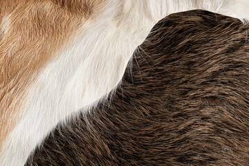 Natural fur. Boar and fallow deer leather. Surfaces contrasting in color and texture.
