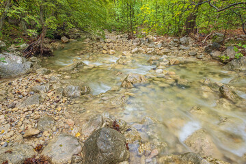On the edge of a fast-flowing stream along the access road from Starigrad Paklenica into the National Park