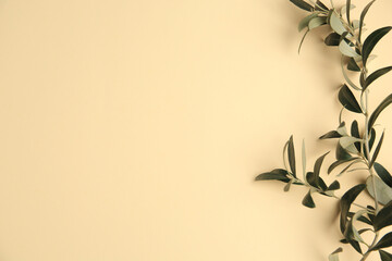Fototapeta na wymiar Twig with fresh green olive leaves on beige background, top view. Space for text