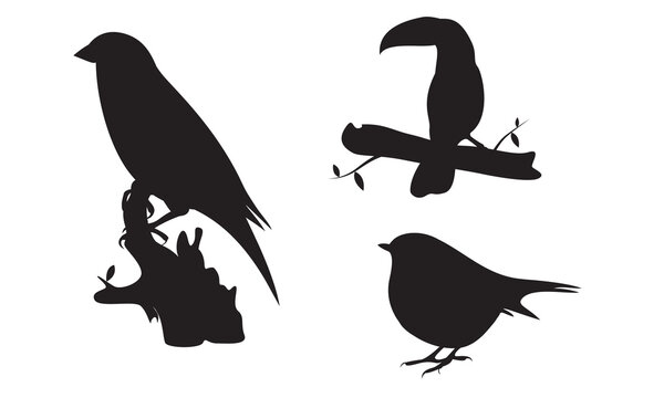 Various simple bird silhouette vector image
