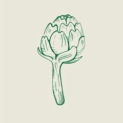 Artichoke illustration. Edible flower bud, healthy vegetable. Hand drawn fresh whole artichoke