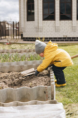 Cute little boy in yellow jacket and bright rubber boots in vegetable garden with big shovel. Child helping grows plants and vegetables in countryside in spring. Family gardening activity.