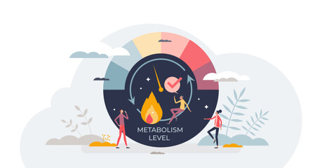 Metabolism level measurement scale with speed of body burning calories tiny person concept, transparent background. Medical indicator for health control and digestion circulation illustration.