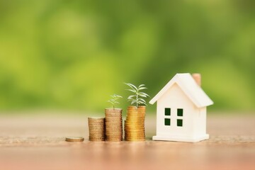A model of miniature wooden houses, a young green sprout of leaves sprouting from gold coins, a symbol of wealth. Generative AI.
