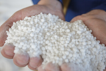 Plant worker holds granules of nitrogen fertilizer.