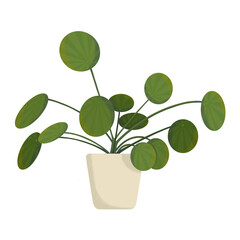 Obraz premium Pilea Plante verte 5 Illustration 