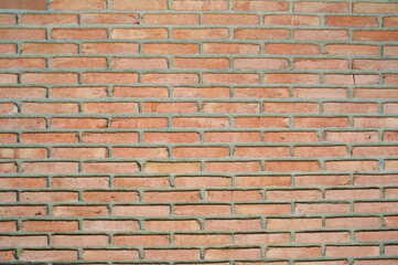 Brick Wall Background - shot on film