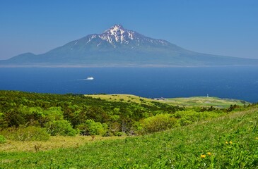 Fototapeta premium 礼文島から望む利尻富士