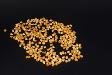 Corn grains for making popcorn on a black background.