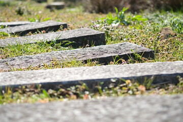 石の枕木の間から新緑が覗く