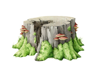 Old tree stump with green moss. Watercolor illustration. Tree cut trunk with green moss and grass and mushrooms on it. Realistic wood stump forest, park landscape element. © anitapol