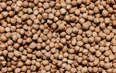 Raw chickpea beans. Top view on chickpea seeds. Food background from a texture of raw chickpeas close-up, top view. Uncooked chickpea.