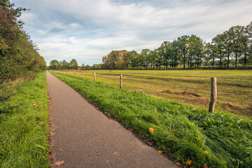 Fototapeta na wymiar Narrow cycling and walking path in a natural environment in the Dutch province of North Brabant. It is autumn, the trees are changing color and some leaves have already fallen to the ground.