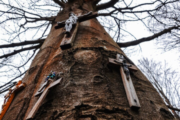 four different old wooden crosses with jesus on a single tree