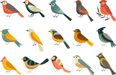 birds of different breeds collection in flat style isolated vector