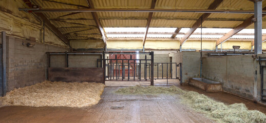 Indoor enclosure for a greater white rhino
