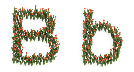Concept or conceptual set of beautiful blooming tulip bouquets forming the font B. 3d illustration metaphor for education, design and decoration, romance and love, nature, spring or summer.