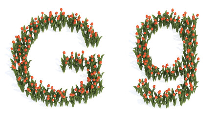 Concept or conceptual set of beautiful blooming tulip bouquets forming the font G. 3d illustration metaphor for education, design and decoration, romance and love, nature, spring or summer.