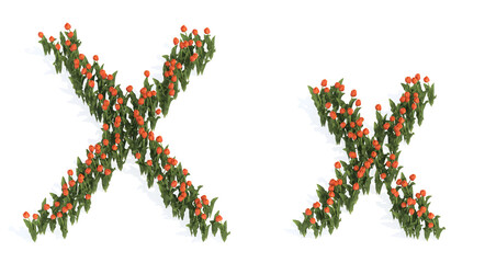 Concept or conceptual set of beautiful blooming tulip bouquets forming the font X. 3d illustration metaphor for education, design and decoration, romance and love, nature, spring or summer.