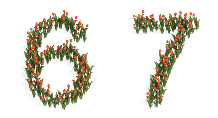 Concept or conceptual set of beautiful blooming tulip bouquets forming the fonts  6and 7. 3d illustration metaphor for education, design and decoration, romance and love, nature, spring or summer.