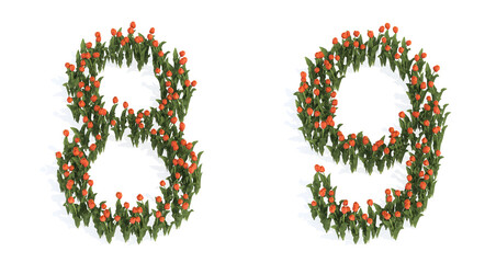 Concept or conceptual set of beautiful blooming tulip bouquets forming the fonts  8 and 9. 3d illustration metaphor for education, design and decoration, romance and love, nature, spring or summer.