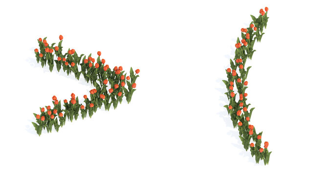 onceptual set of beautiful blooming tulip bouquets forming greater than and left parantheses signs. 3d illustration metaphor for education, design and decoration, romance and love, nature, spring 