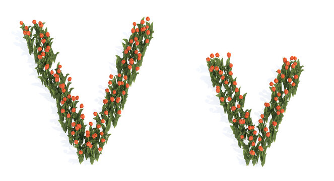 Concept or conceptual set of beautiful blooming tulip bouquets forming the font V. 3d illustration metaphor for education, design and decoration, romance and love, nature, spring or summer.