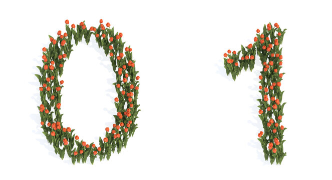 Concept or conceptual set of beautiful blooming tulip bouquets forming the fonts  0 and 1. 3d illustration metaphor for education, design and decoration, romance and love, nature, spring or summer.