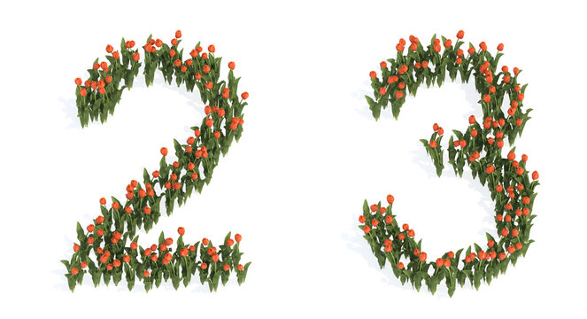 Concept or conceptual set of beautiful blooming tulip bouquets forming the fonts  2 and 3. 3d illustration metaphor for education, design and decoration, romance and love, nature, spring or summer.