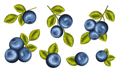 Set of blueberries. Cartoon style colorful hand drawn vector illustration