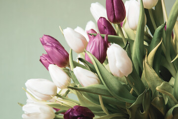 Bouquet of tulips in a yellow bucket in front of a green wall on wooden floor