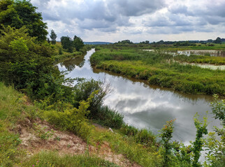Fototapeta na wymiar view of the river in summer