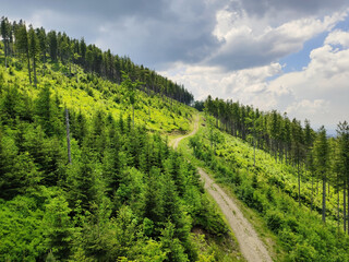 Fototapeta na wymiar Forest at Beskids mountains in summer. View from above chair lift to Skrzyczne mountain in Szczyrk, Poland.