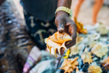 Take a piece of the Zanzibar, Tanzania beach home with you by purchasing one of the many seashells available for sale, each one a unique and beautiful reminder of your time spent in paradise.