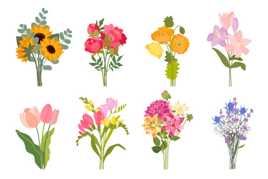 Cute spring and summer bouquets set with cartoon tulips, peonies, sunflowers, eucalyptus, gypsophila, freesia, lavender, poppies, lilies and dahlias isolated on white background. Vector illustration. 