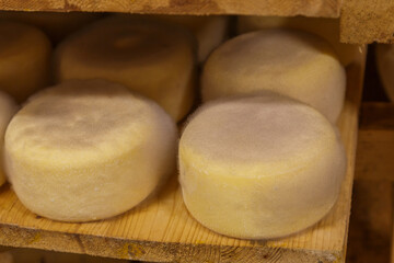 Fototapeta na wymiar Ripening wheels of cheese on the shelf of the cellar.