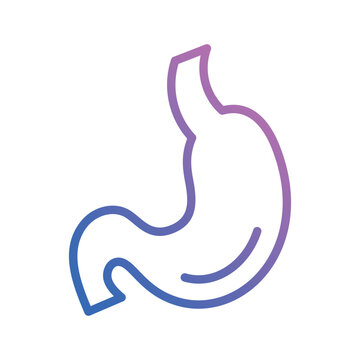 Stomatch icon vector stock