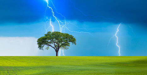 Bright lightning hit the tree with green grass field - Stormy sky with thunderbolt over rural...