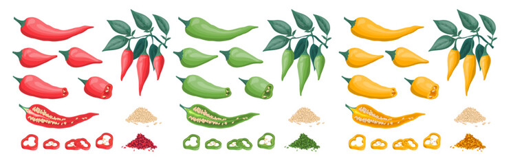Vector illustration. Different types and sizes of chili pepper. Slices and piles of seeds and spices of green jalapeno, chili red and yellow pepper. Long and short pepper on branches with leaves