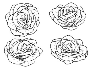 Hand drawn flower sketch line art illustration set