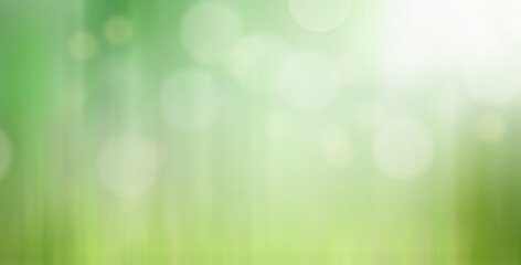 Obraz premium green blurred bokeh background illustration. 