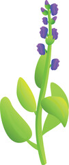 Sage icon cartoon vector. Leaf plant. Flower herb