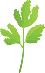 Health parsley icon cartoon vector. Leaf plant. Fresh food