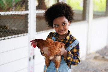 young american african black boy farmer holds a hen in the chicken coop at the garden © NVB Stocker