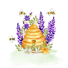 Watercolor illustration with a wild Beehive in Lavender and Chamomile flowers. Bees, wild flowers and grass. Design for products with honey. Isolated on a white background.